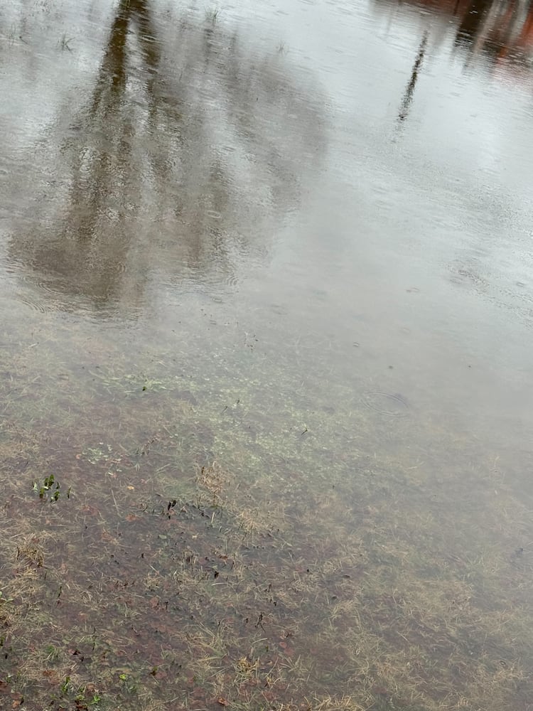 Springfield Flooding