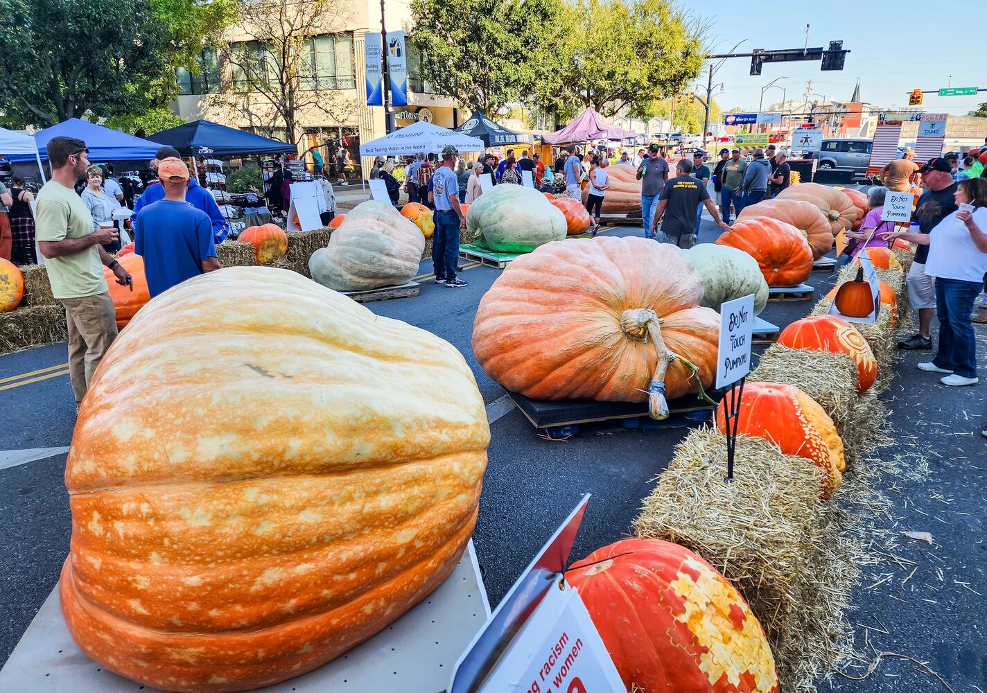 101323 operation pumpkin