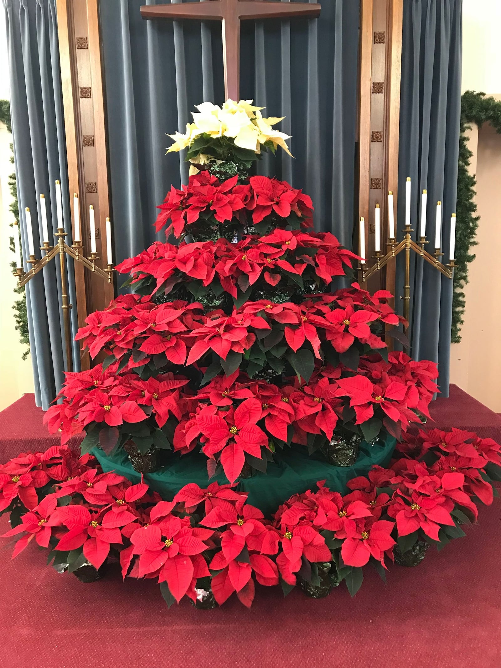 A holiday poinsettia display at New Carlisle’s Honey Creek Presbyterian Church, 212 Jefferson St., which will hold its last service on Nov. 30. CONTRIBUTED