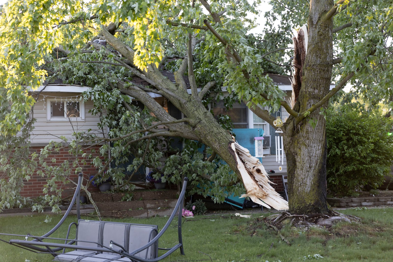 A tree lays on a house in Dorr, Mich., after a severe storm ripped across Michigan the night before, on Friday, May 16. 2025. (Neil Blake /The Grand Rapids Press via AP)