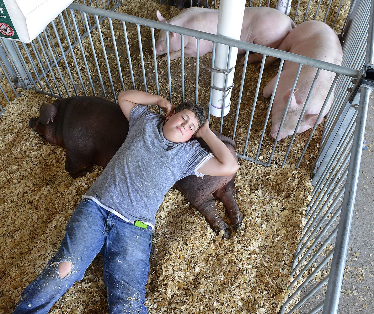 Champaign County Fair Opening Day