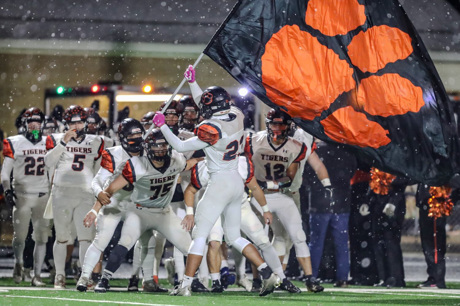 hsfb