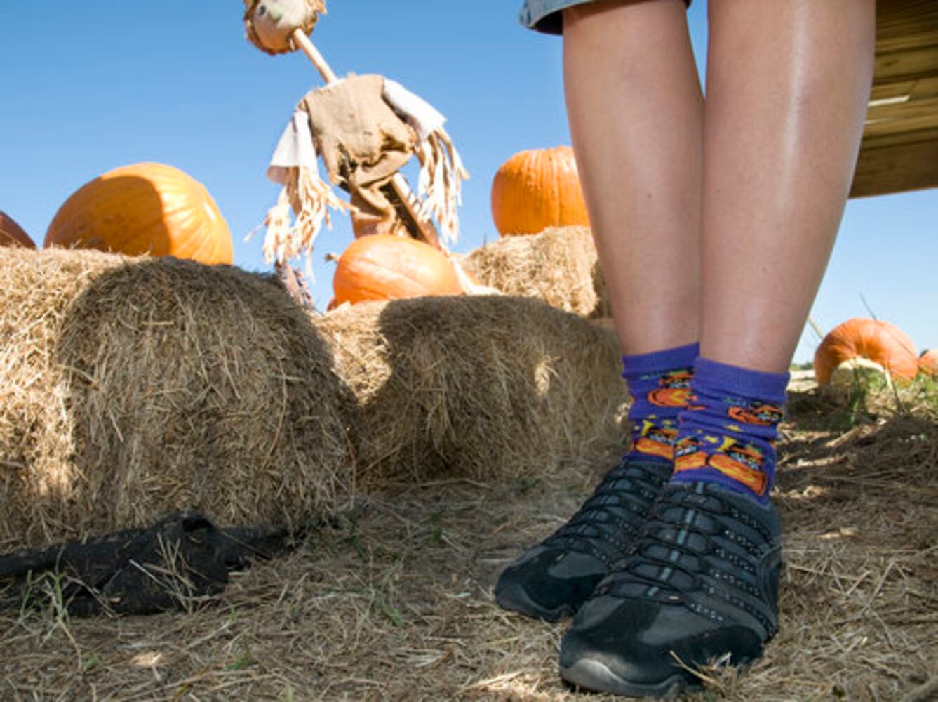 Elgin pumpkin patch, 10.23.10