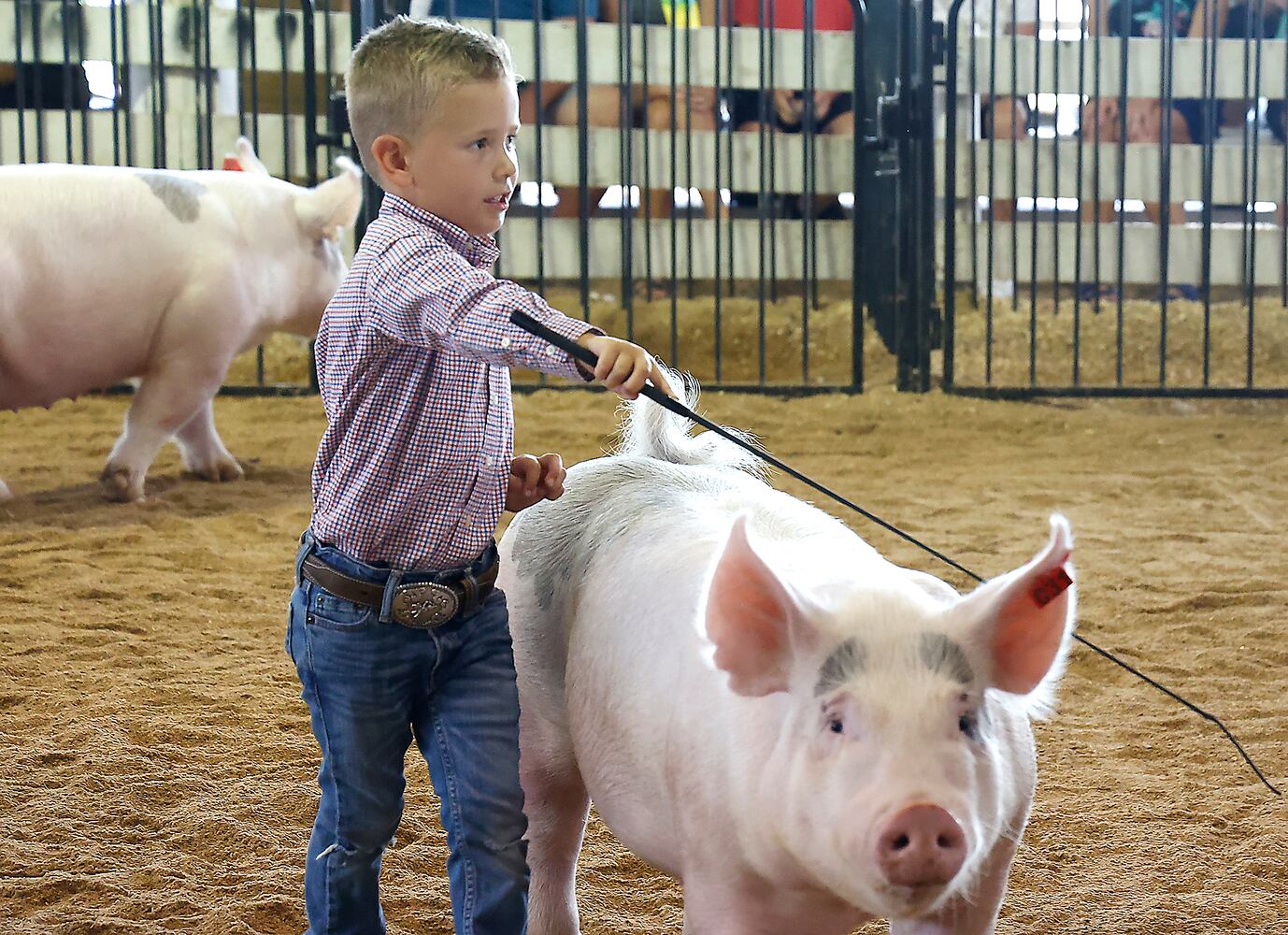 072823 Clark County Fair SNS