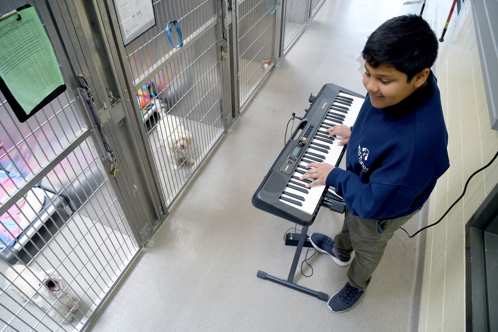 Yuvi Agarwal, the founder of Wild Tunes, which aims to soothe stressed shelter animals with live music, plays the keyboard at the Denver Animal Shelter, on Friday, May 30, 2025. (AP Photo/Thomas Peipert)