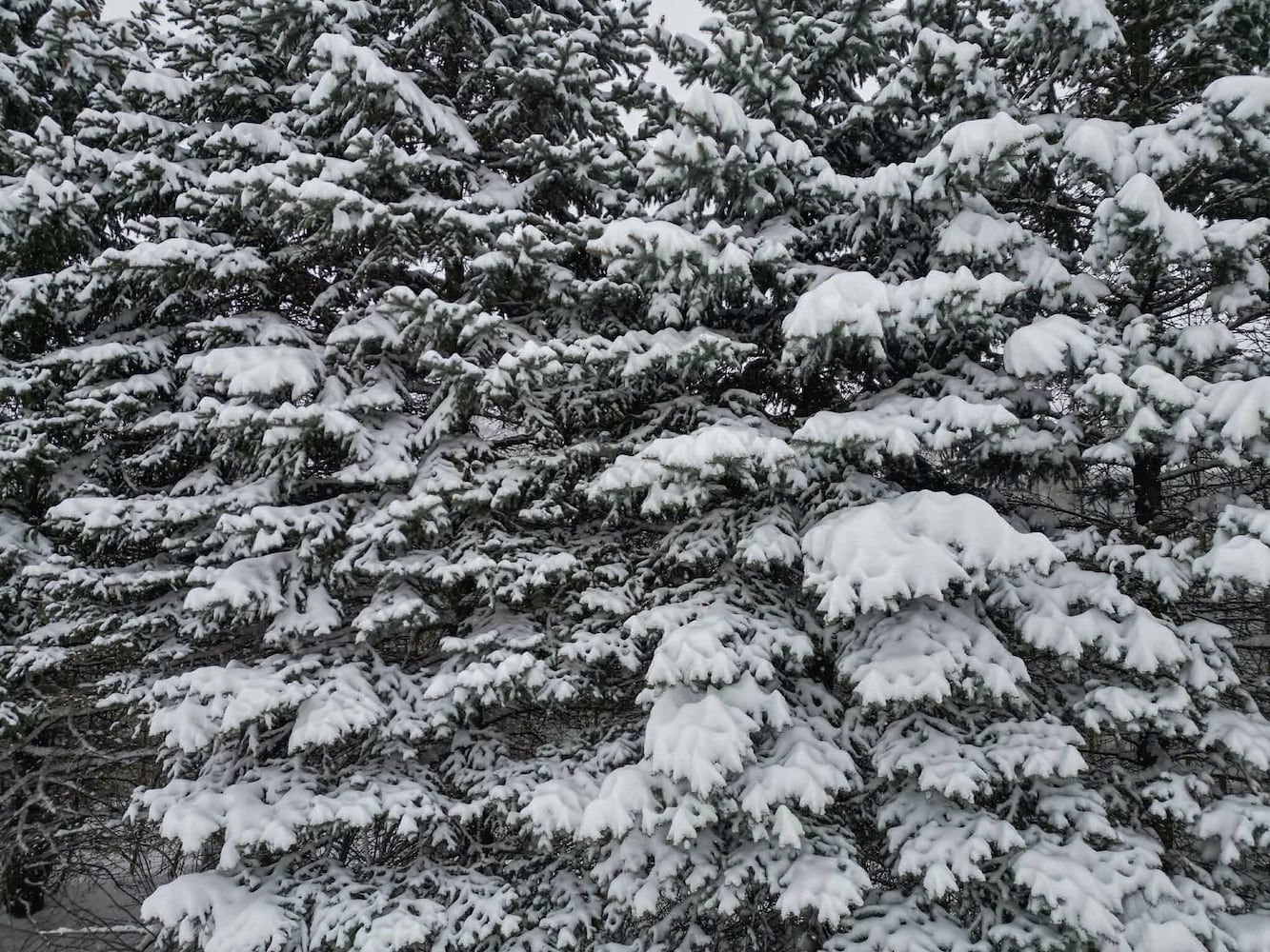 Snow in Central Ohio 