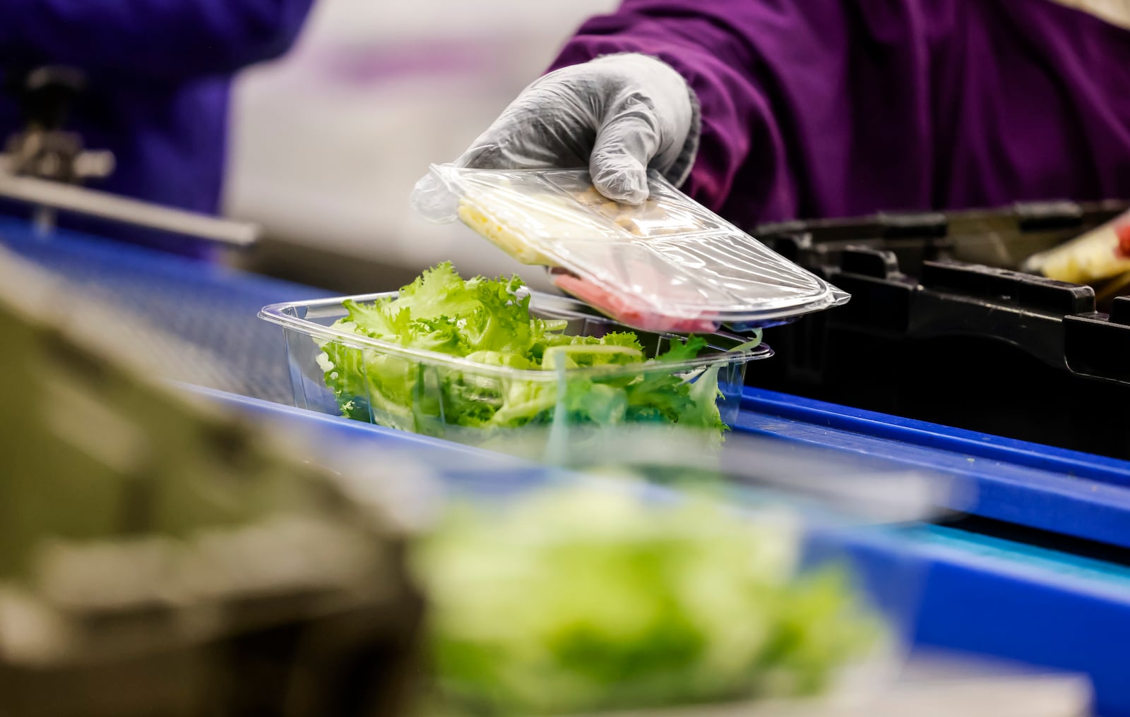 80 Acres Farms and Soli Organic have merged to form a new company, retaining the 80 Acres Farms name, doubling down on the vertical farming industry. The merger, which is projected to net nearly $200 million in profit in the first year, is seen as the evolution of the industry by company officials. Pictured in this February 2024 file photo are 80 Acres employees working to package lettuce and microgreens at the facility on Enterprise Park Drive in Hamilton. NICK GRAHAM/FILE