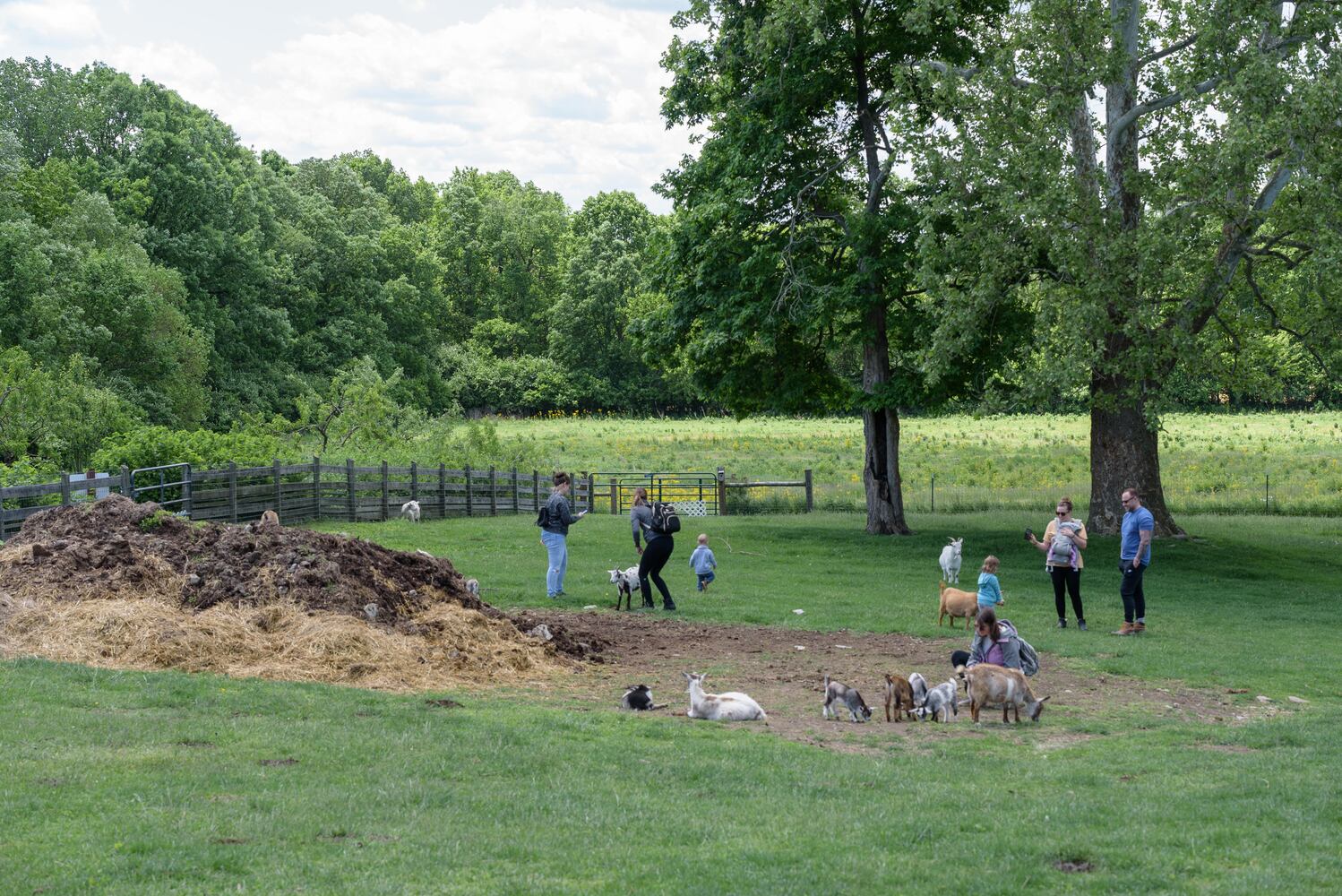 PHOTOS: Wooly Wonders - Spring on the Farm Family Event at Learning Tree Farm