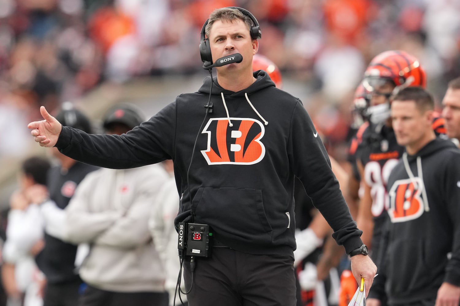 Cardinals Bengals Football