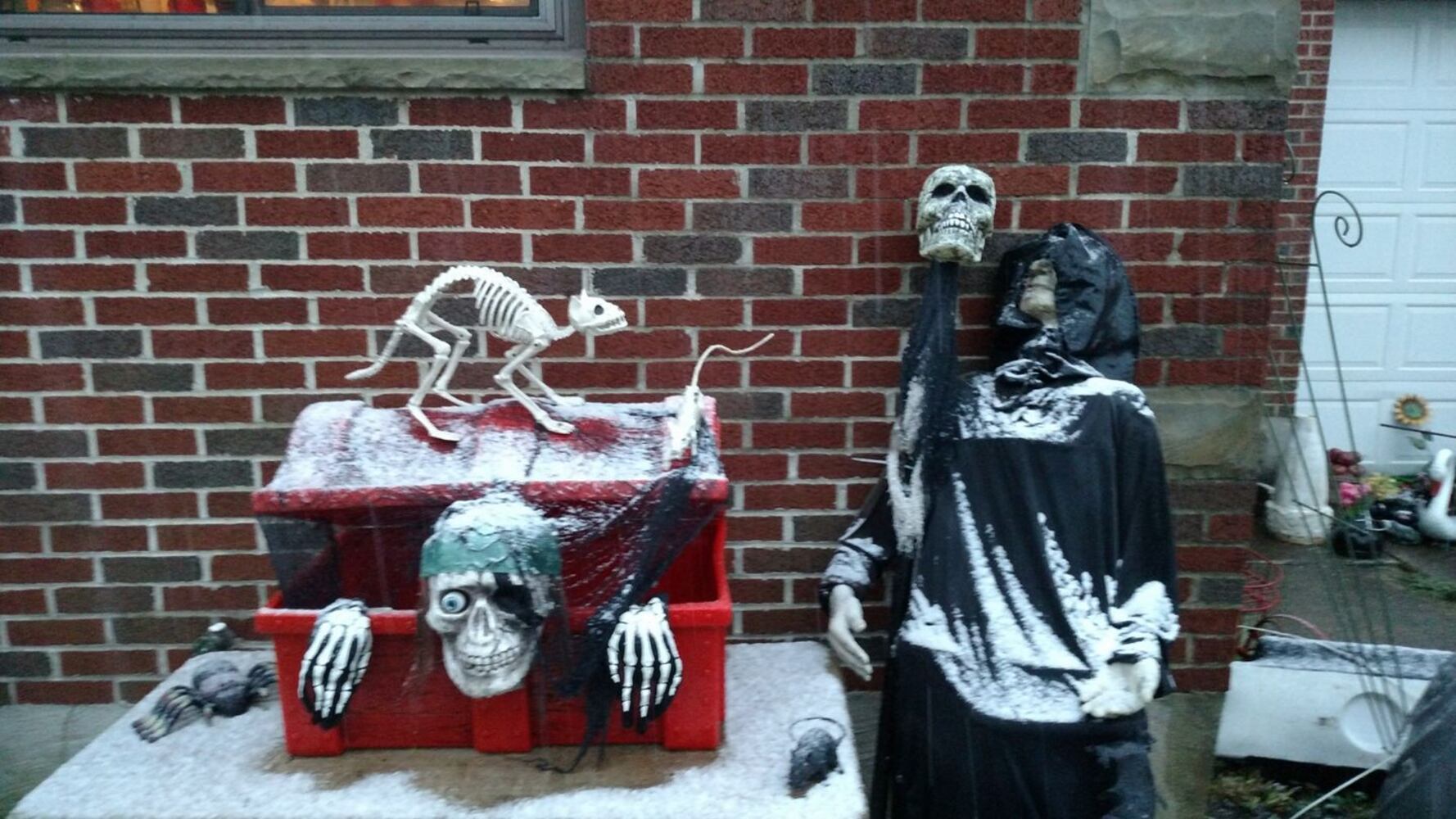 Photos: First Snowfall