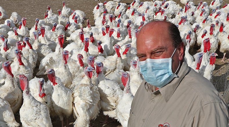 Steve Landes, president of Bowman-Landes Turkeys Inc., with some of the turkeys Friday. BILL LACKEY/STAFF