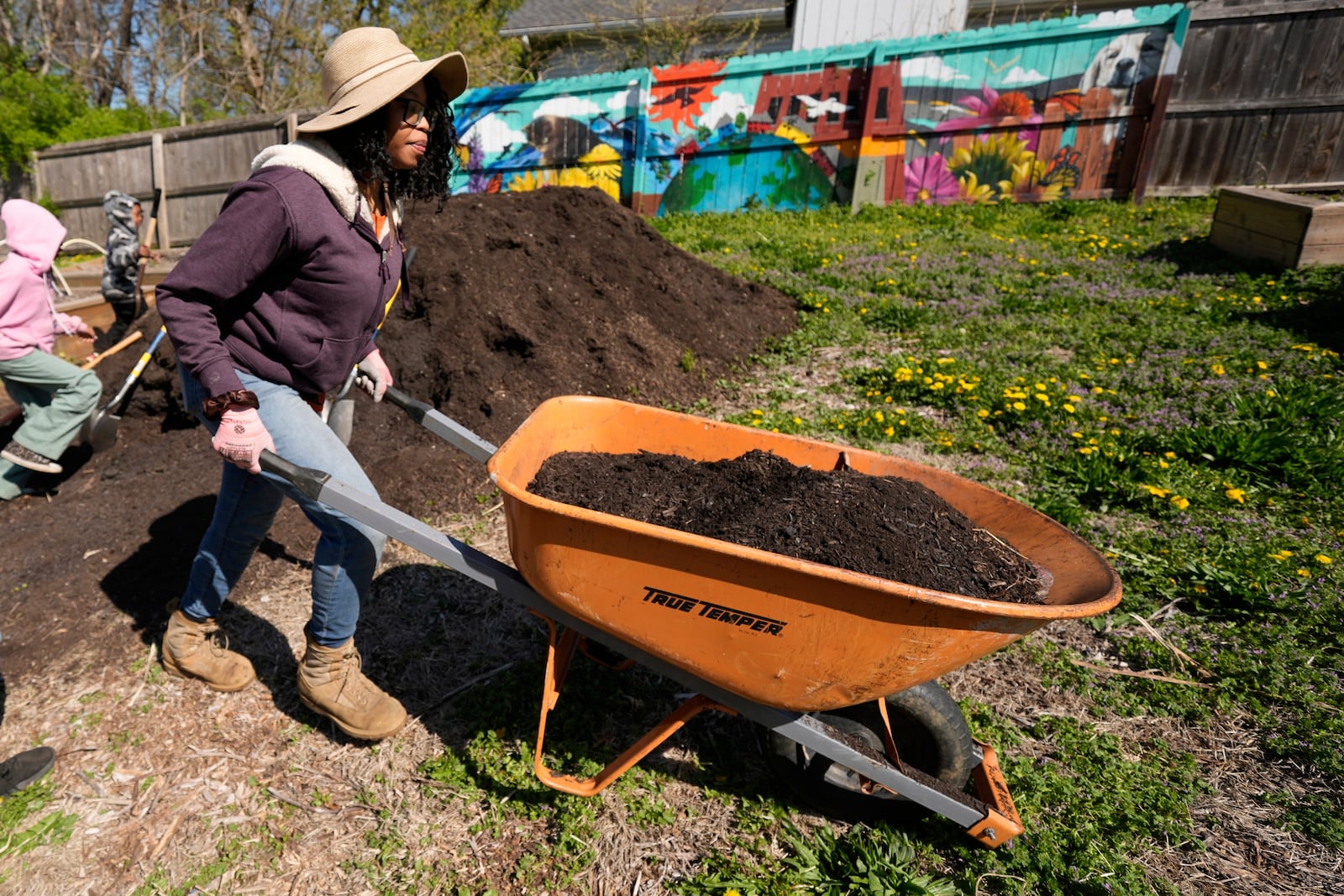 FILE - Rosei Warren hauls compost to a garden plot in preparation for planting vegetables at the Ivanhoe neighborhood community garden, April 9, 2025, in Kansas City, Mo. (AP Photo/Charlie Riedel, File)
