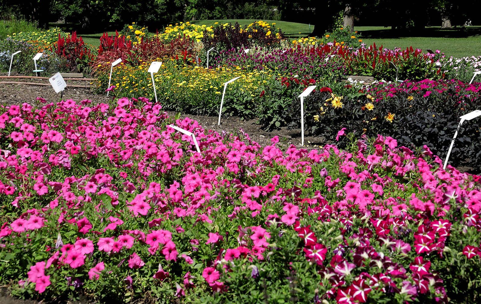 Snyder Park Gardens