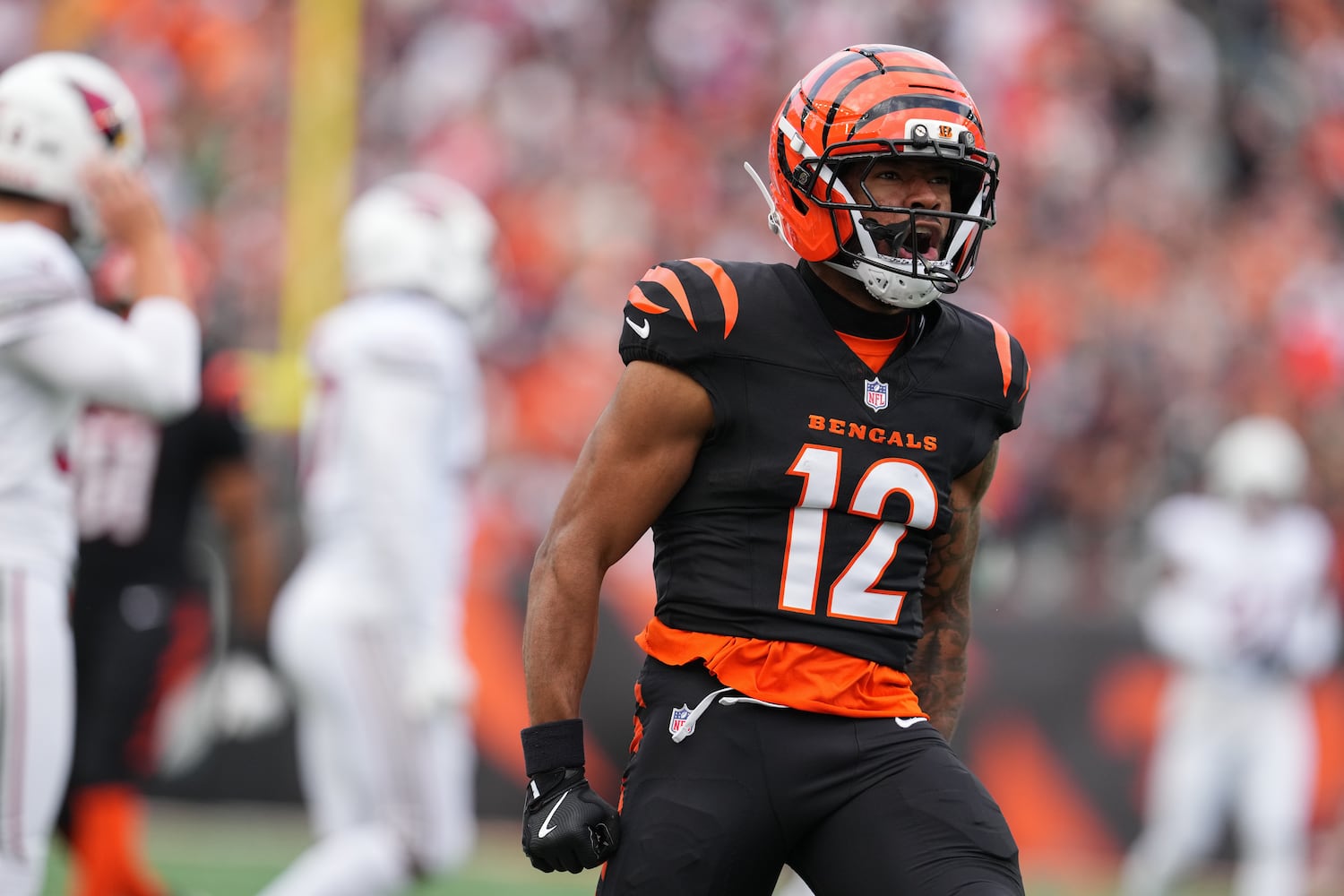 Cardinals Bengals Football