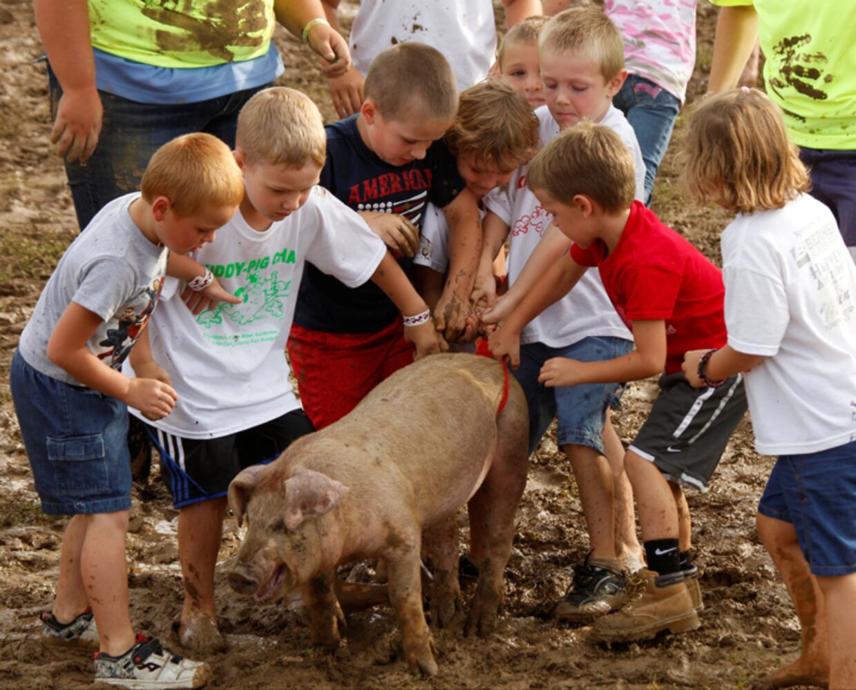 Clark County Fair - Kiddie Pig Chase