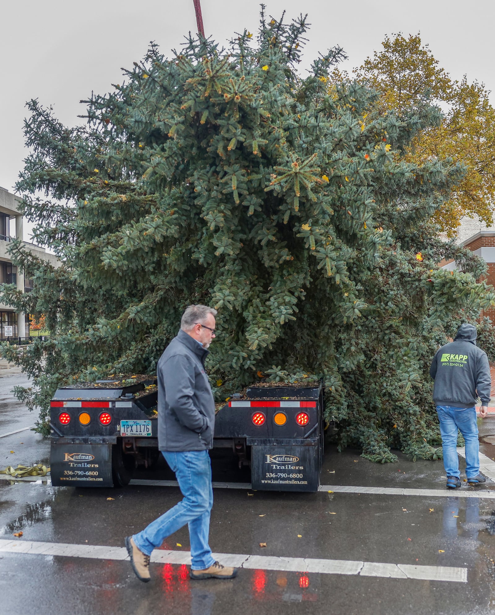 A construction crew works to put a Christmas tree up  on Friday, November 7, 2025, in downtown Springfield. JOSEPH COOKE/STAFF