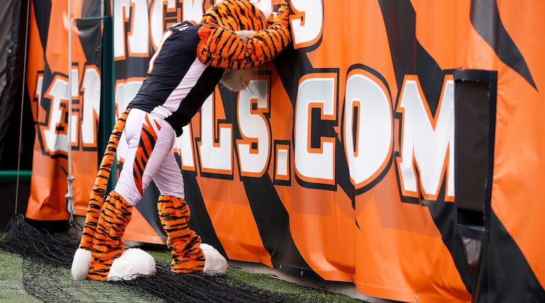 CINCINNATI, OH - NOVEMBER 25:  The Cincinnati Bengals mascot reacts as Cincinnati looses to the Cleveland Browns 35-20 at Paul Brown Stadium on November 25, 2018 in Cincinnati, Ohio. (Photo by Joe Robbins/Getty Images)
