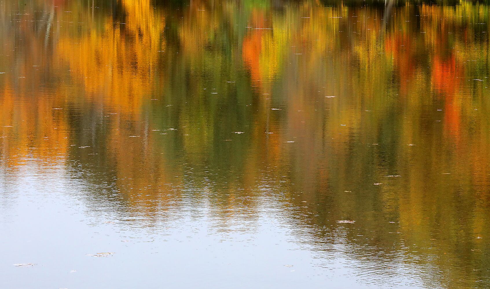 Clark County Fall Colors