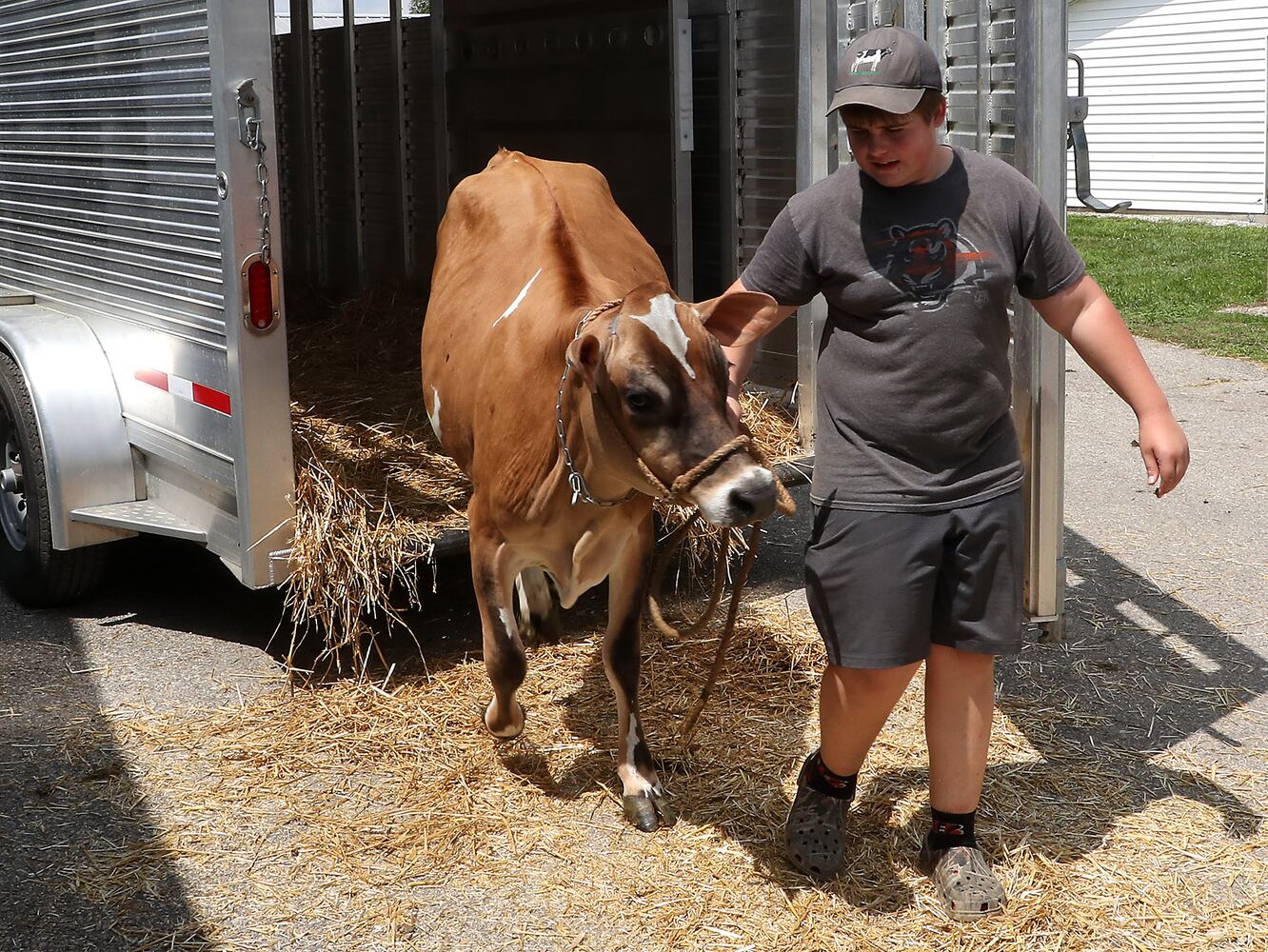 Champaign County Fair