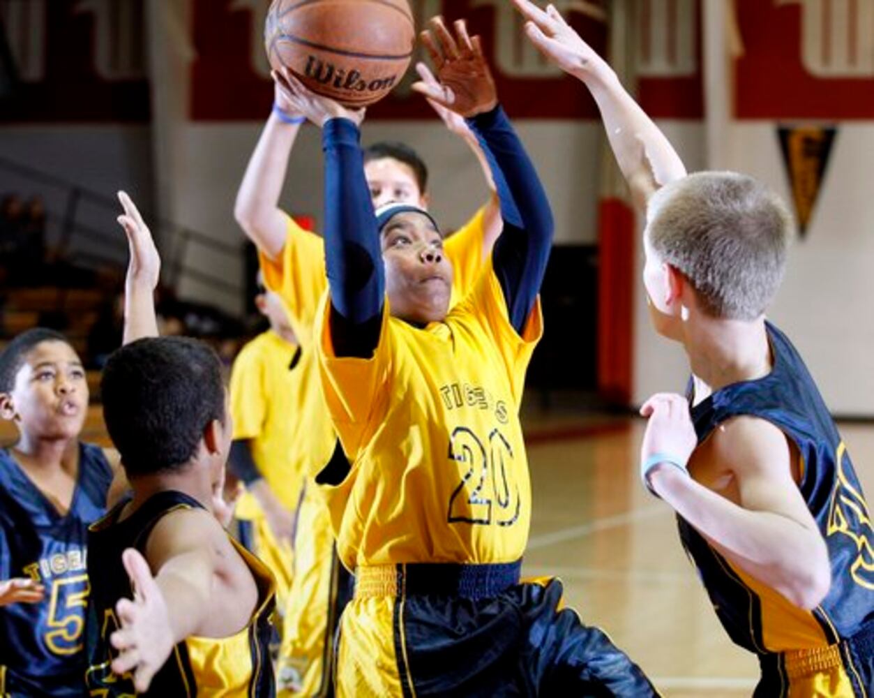 Springfield Little Tigers basketball