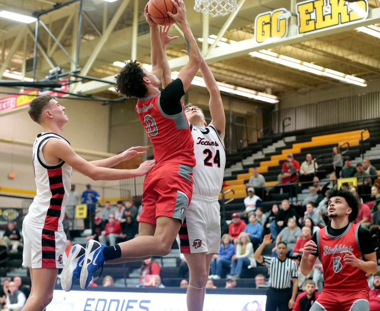 Stebbins Tecumseh basketball