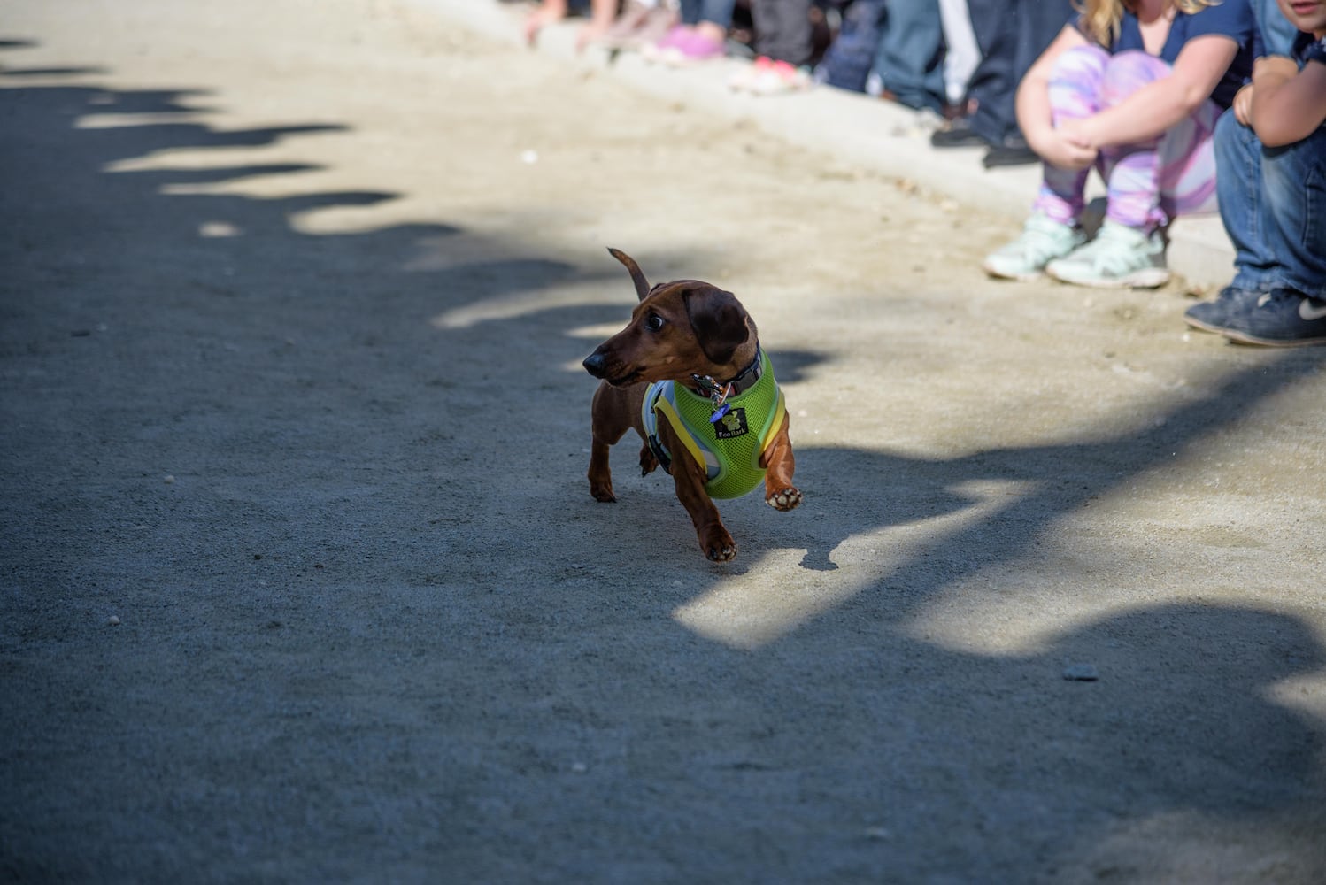 PHOTOS: Did we spot you keeping the Oktoberfest celebrations going this weekend?