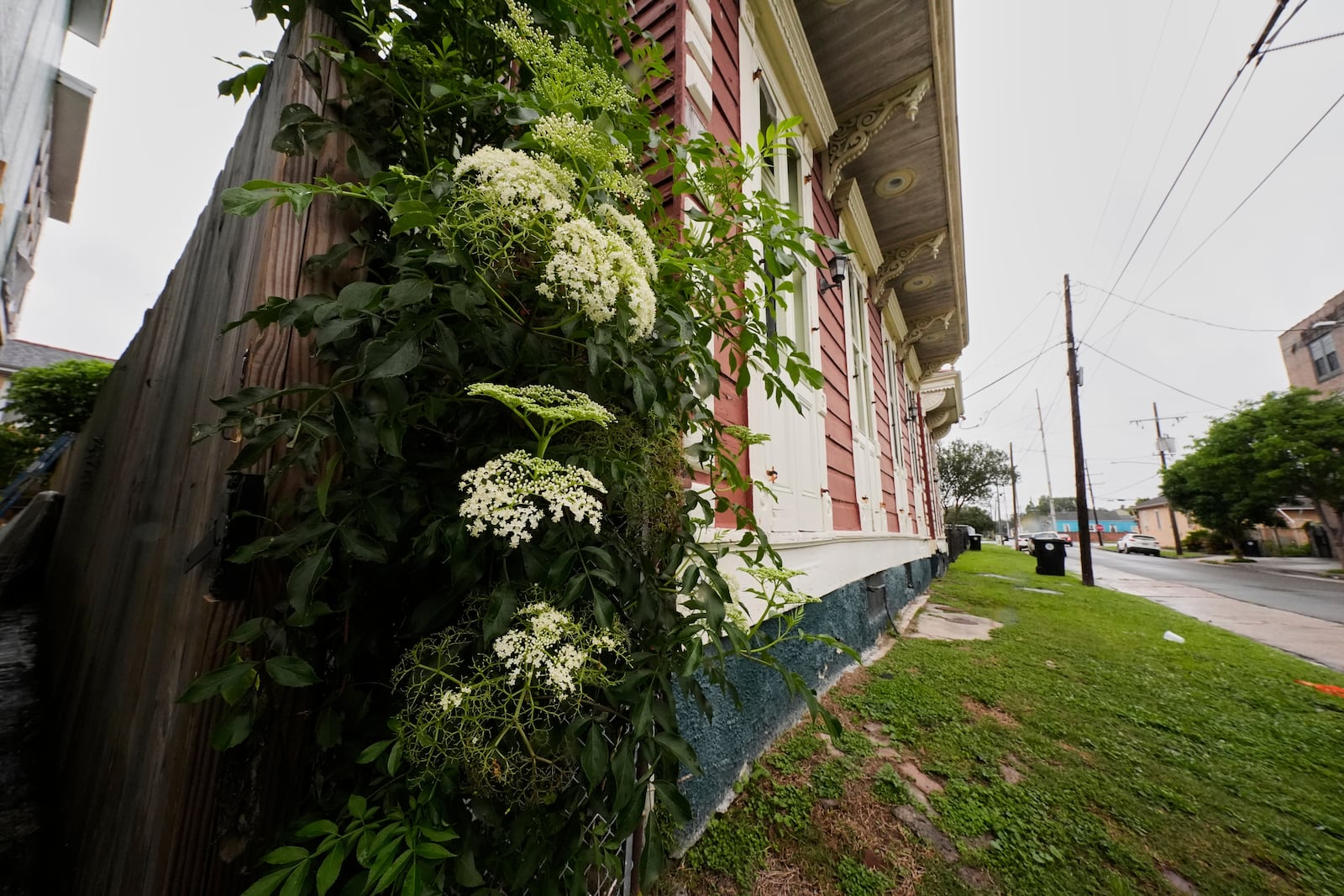 A neighborhood is seen in the 7th Ward, Friday, May 9, 2025 in New Orleans, which is the community where the grandparents of Pope Leo XIV lived. (AP Photo/Gerald Herbert)