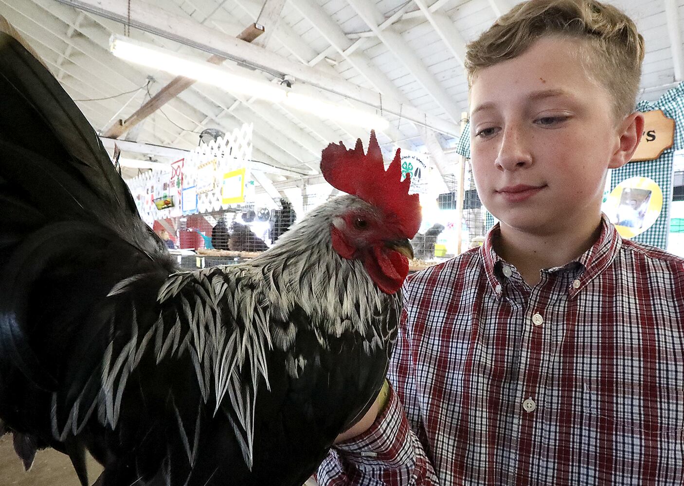 2018 Clark County Fair Day 2