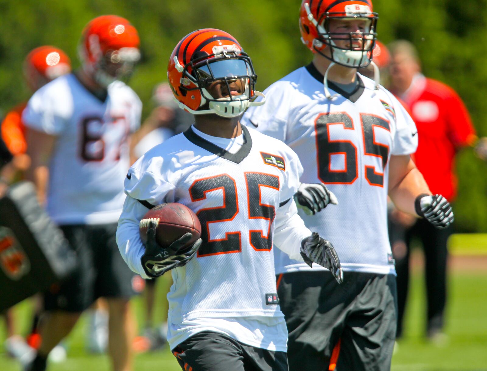 Bengals running back Giovani Bernard (25) runs a play during the first OTA practice of the year, Tuesday, May 24, 2016. GREG LYNCH / STAFF