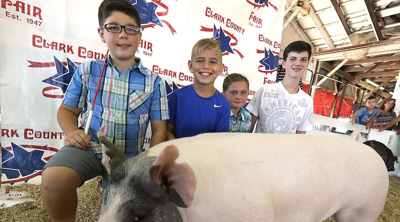 All four exhibitors placed in the top in the Junior Fair Market Hog contest and all of them purchased their pigs from the same breeder, Seth Keplinger. The exhibitors are, from left, Eli Keplinger, 12, Kadan Harris, 10, Kendall Bishop, 9, and Evan Henry, 14. BILL LACKEY/STAFF