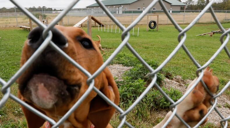 The David Robert Wetzell Memorial Clinic at the Champaign County Animal Welfare League (AWL), which is visible in the background of the file photo, is now closed to the public because of staffing issues. FILE
