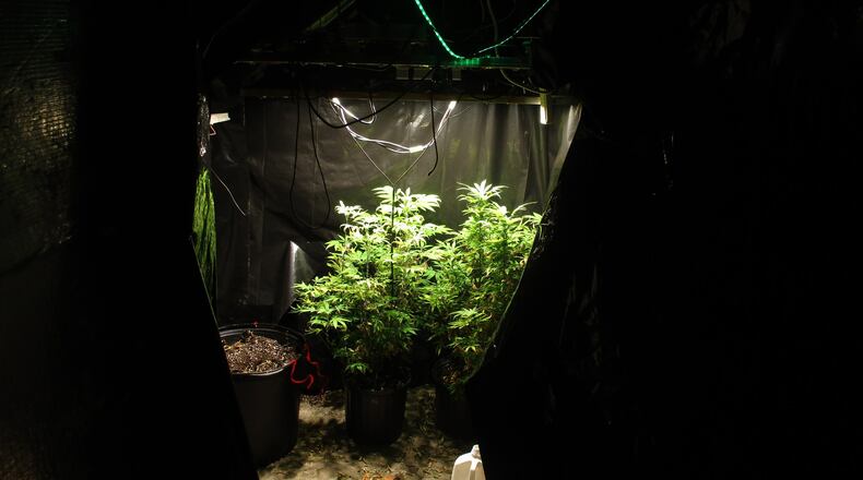 Urbana police arrested two people earlier this month who are accused of running a large indoor marijuana growing operation/Submitted