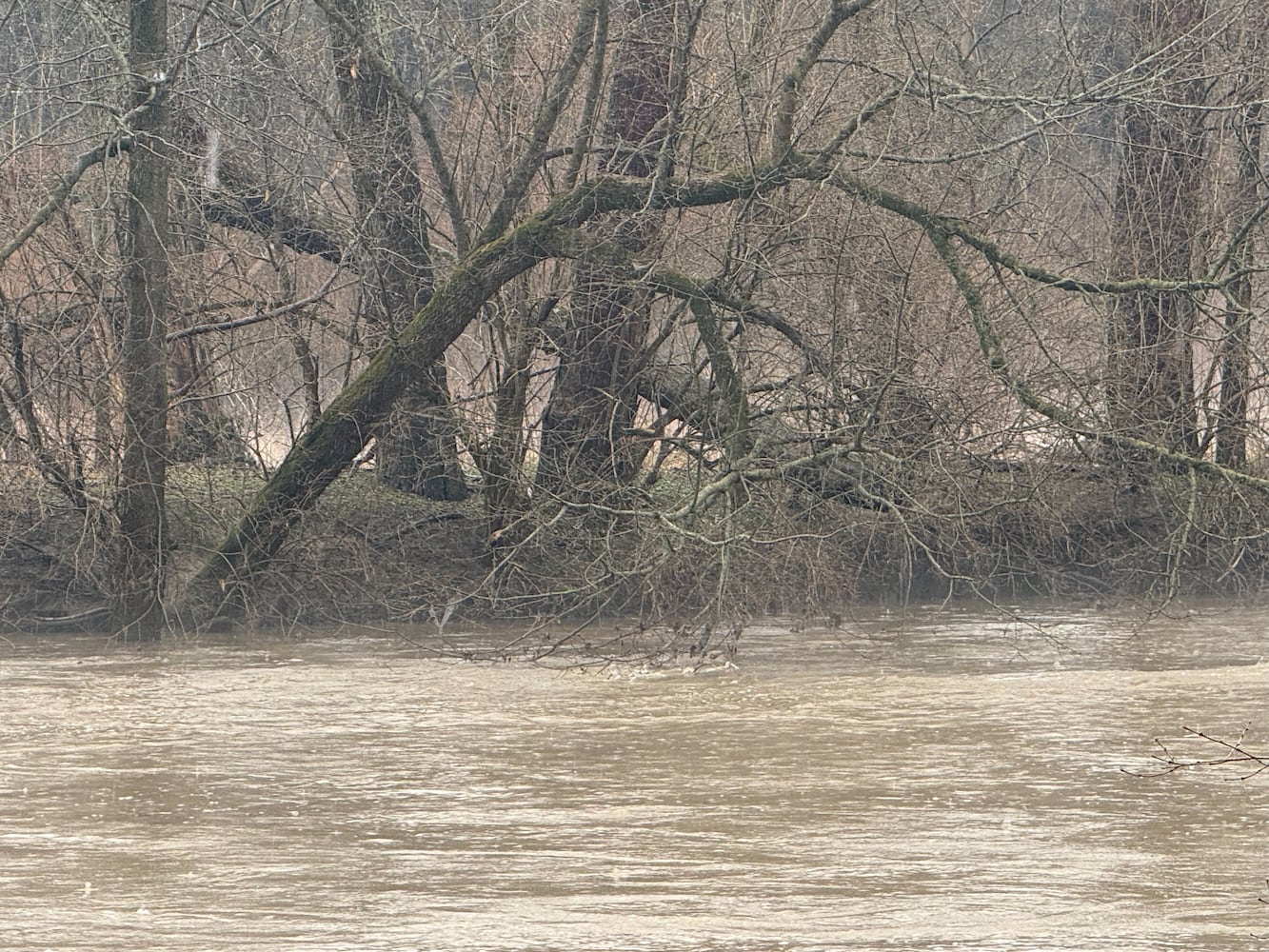 Springfield Flooding