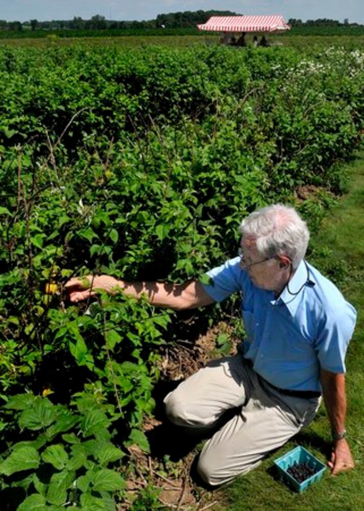 Berry Farm thrives in Champaign