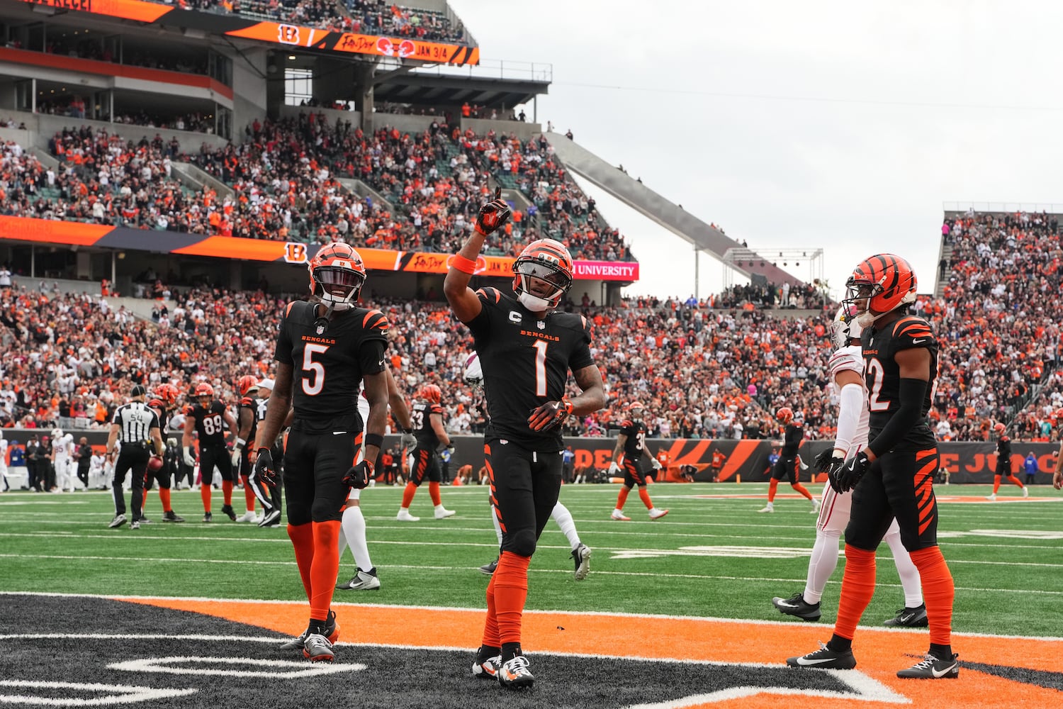 Cardinals Bengals Football
