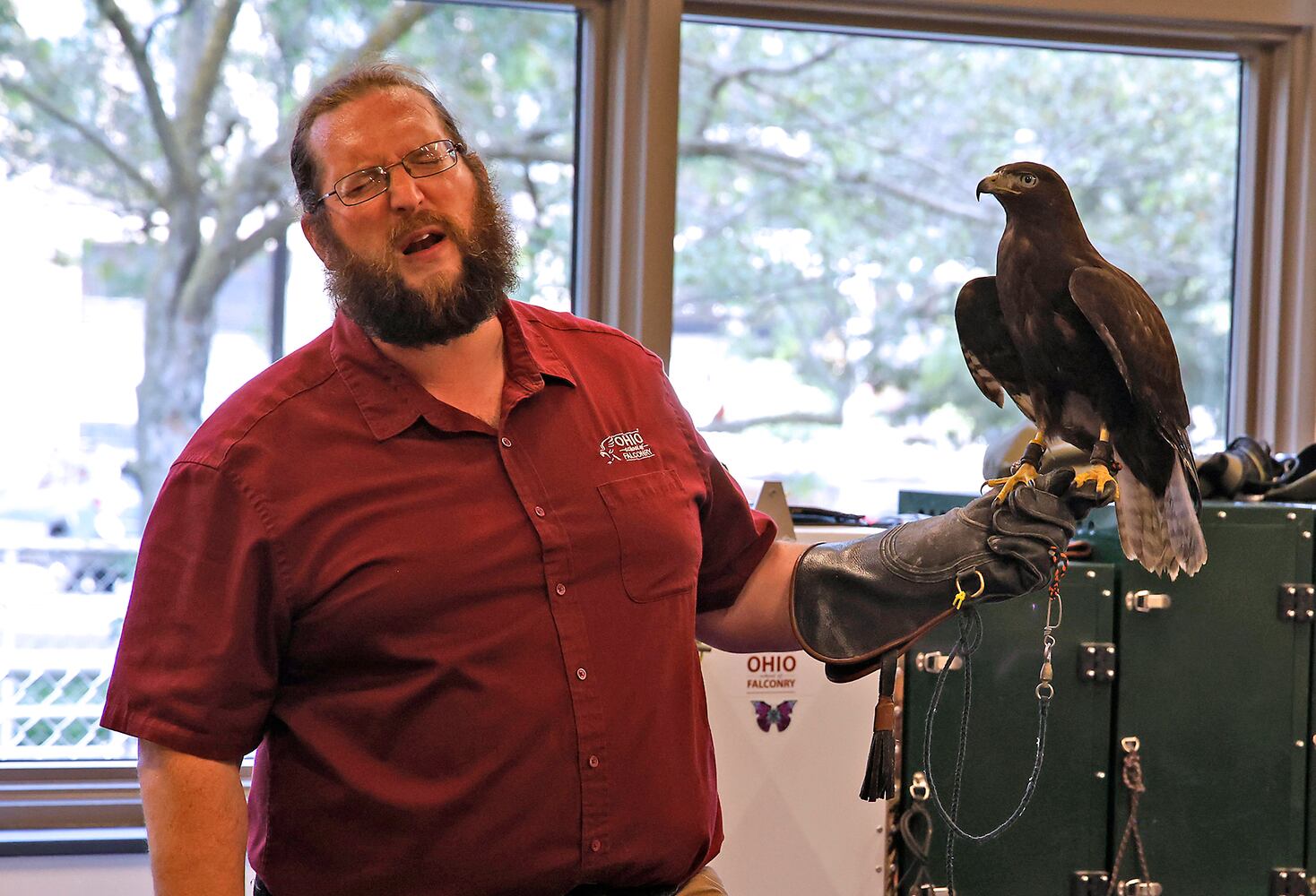 Library Falconry SNS