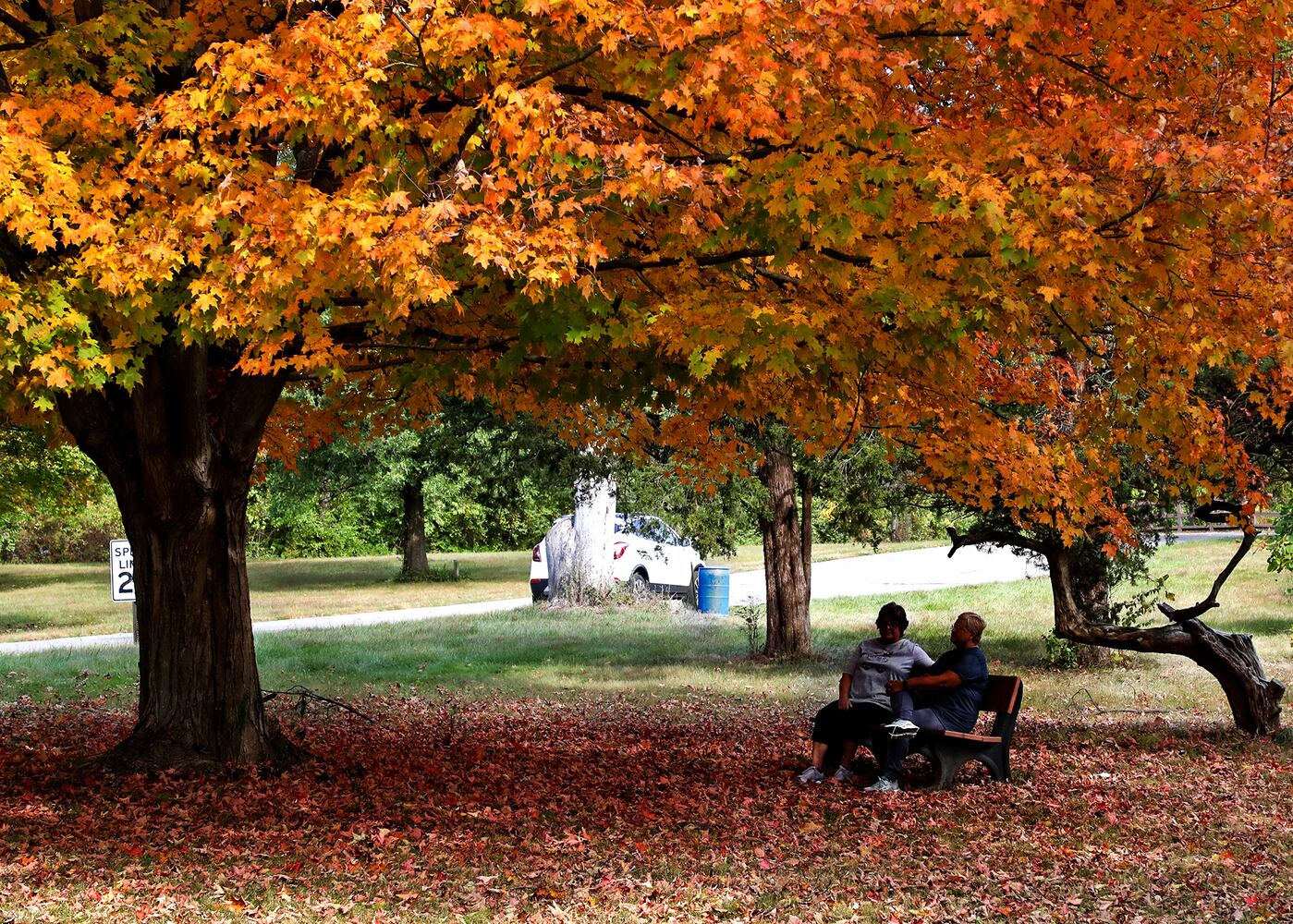 Clark County Fall Colors