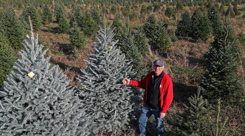 Ben Young is surrounded by acres of Christmas trees at Carl and Dorothy Young's Cut Your Own Christmas Tree Farm (File Photo). BILL LACKEY/STAFF