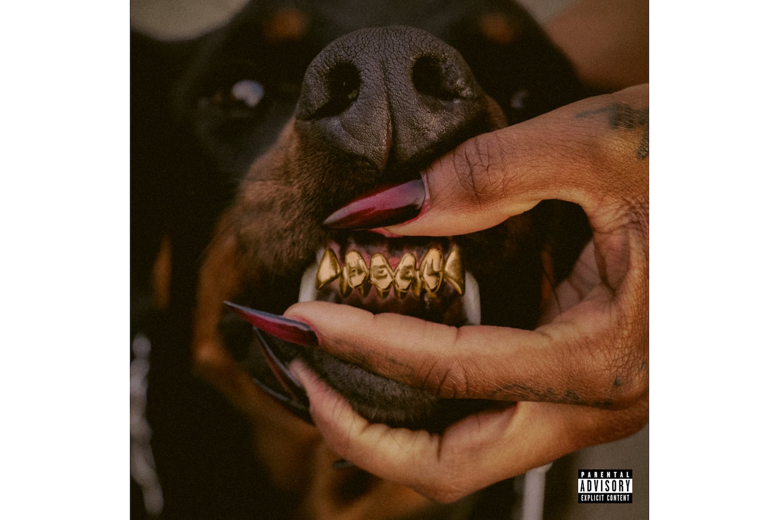 This cover image released by EZMNY/Motown Records shows "Mutt" by Leon Thomas. (EZMNY/Motown Records via AP)