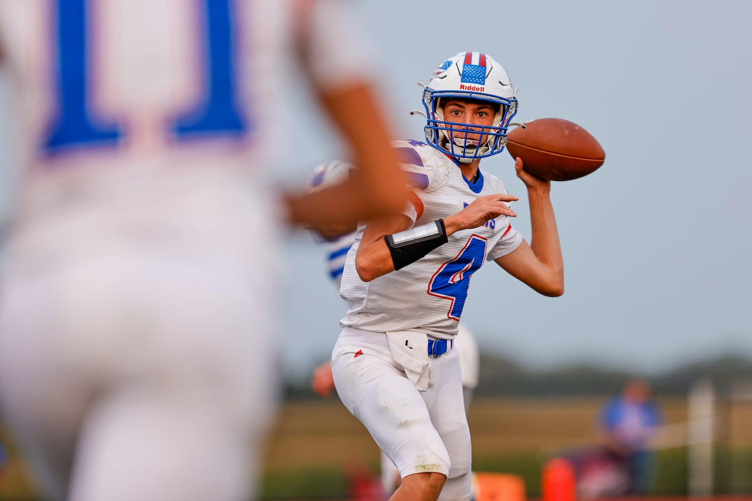 northeastern greeneview hsfb