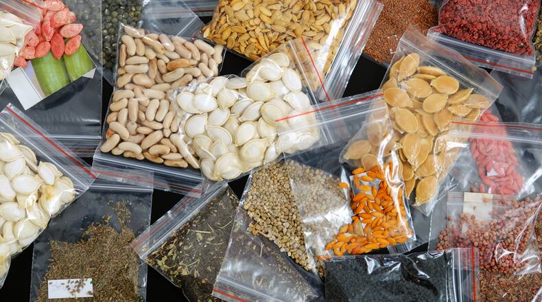 Planning helps keep focus tight on which plants to grow and collect seed from. Prepare how you’re going to collect it, dry it and store it. In order to collect seed, you have to plant correctly. You also need to do a soil test. ISTOCK