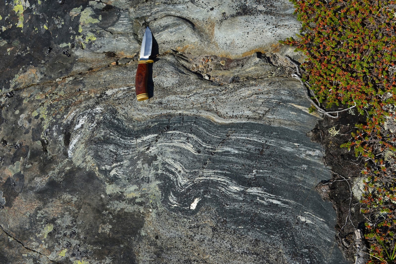 This photo provided by researcher Jonathan O'Neil shows an outcropping of rocks from Canada's Nuvvuagittuq Greenstone Belt dated to about 4.16 billion years old, with a knife to indicate scale. (Jonathan O'Neil via AP)