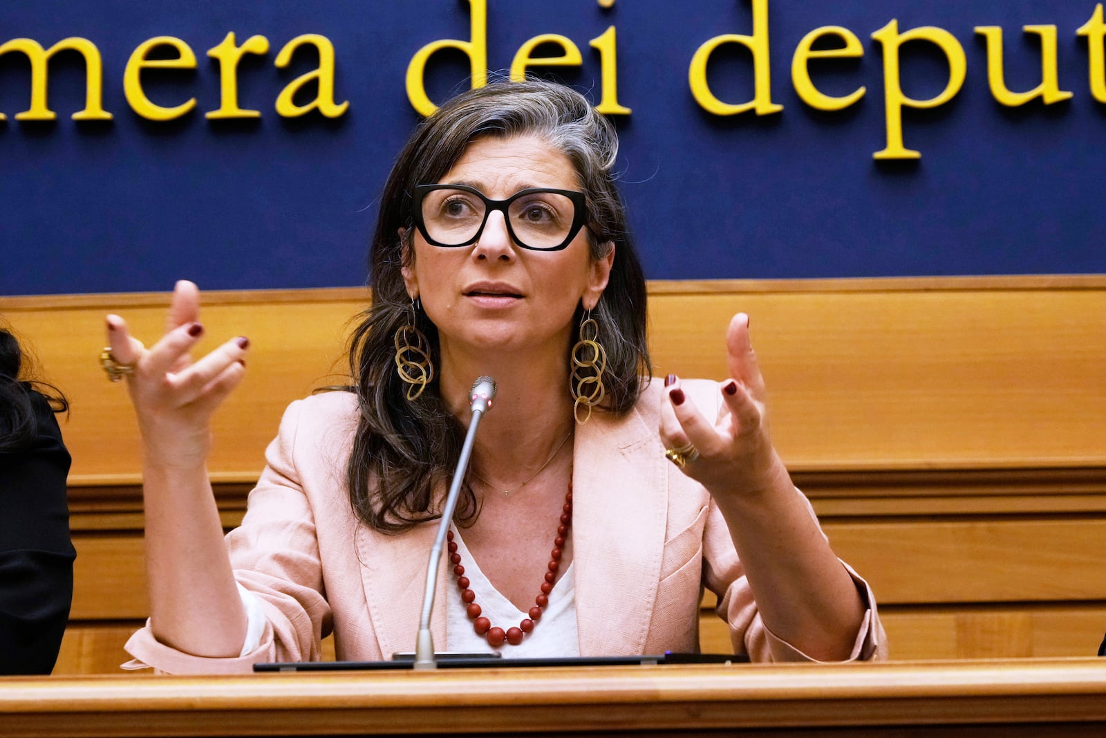 Francesca Albanese, U.N. Special Rapporteur on the Palestinian Territories, speaks to journalists in Rome, Tuesday, July 29, 2025. (AP Photo/Gregorio Borgia)