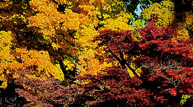 Marshall Gorby/Staff