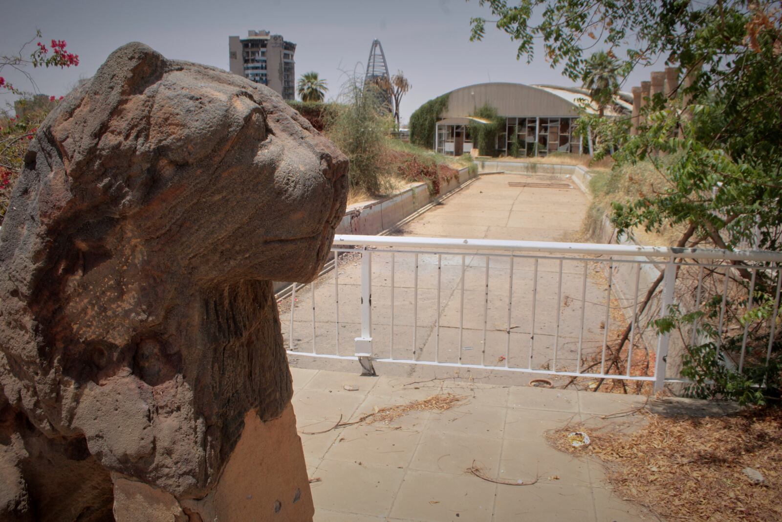 A Meroitic lion statue is seen in the garden of Sudan National Museum, the home to the country's largest artifacts that date to different eras of Sudanese history, after nearly two years of war between the army and paramilitary Rapid Support Forces (RSF), in Khartoum, Sudan, Thursday, April 3, 2025. (AP Photo/Khaled Abd Al Gader)