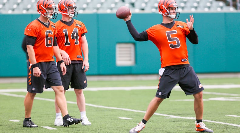 Bengals quarterback AJ McCarron (5) participates in a team practice at Paul Brown Stadium, Tuesday, June 13, 2017. GREG LYNCH / STAFF