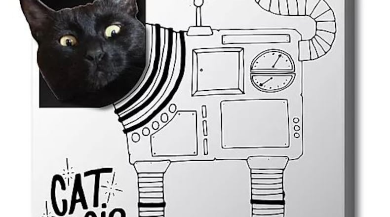 Brian Johnson, a local marketer and event promoter, has launched Cat Magic Box. Wayne.Lily's owner Emily Mendenhall's cat, models.