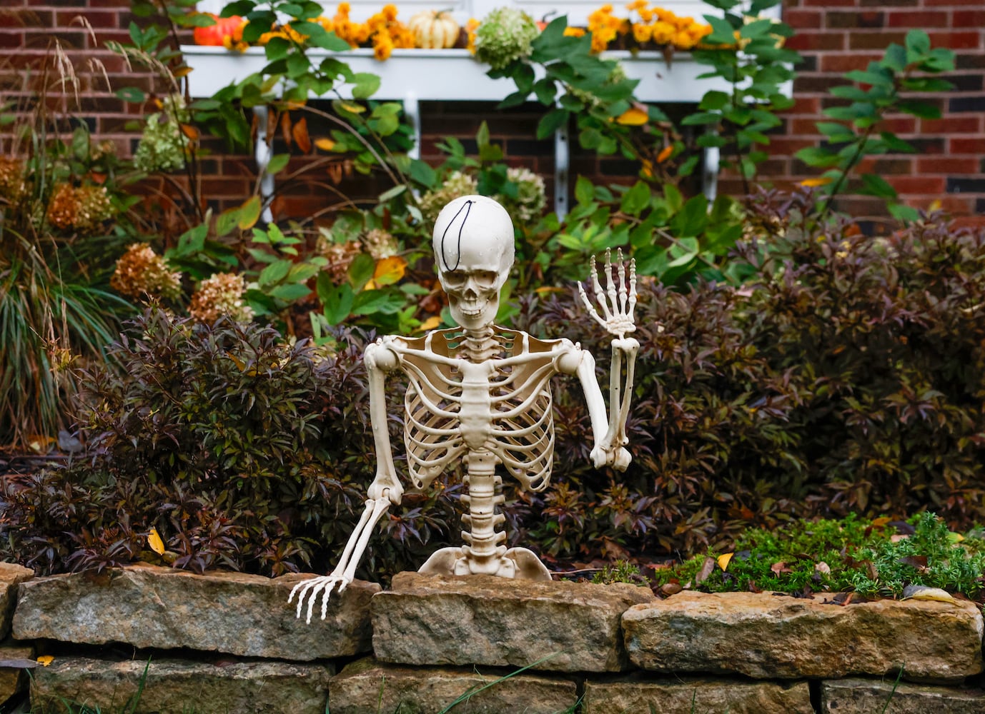 Local Halloween Decorations 