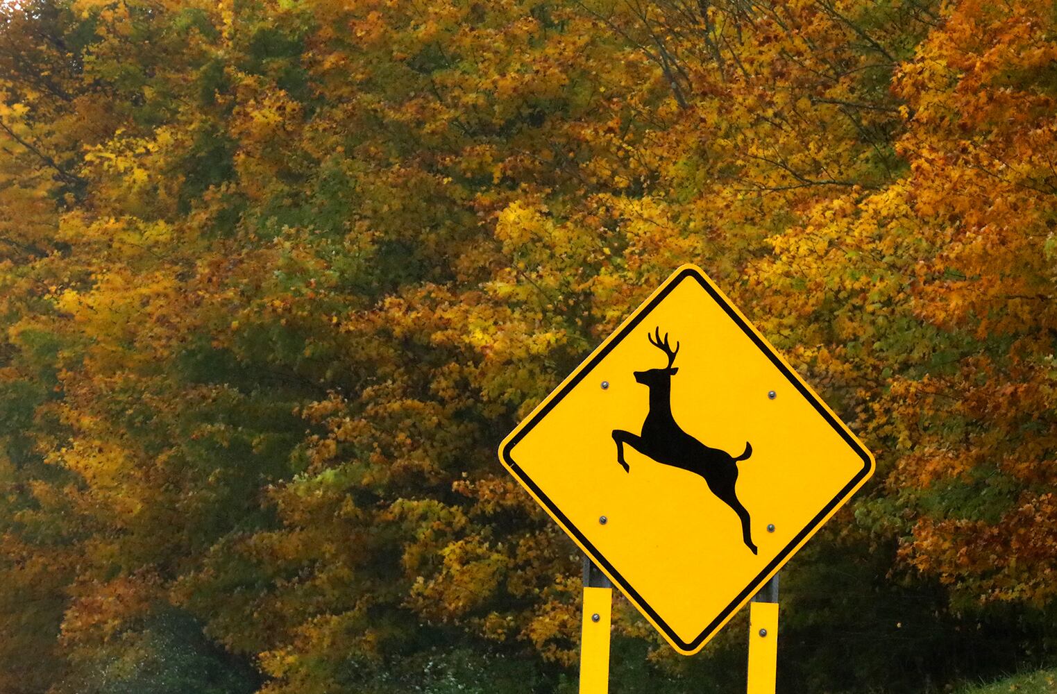 Clark County Fall Colors