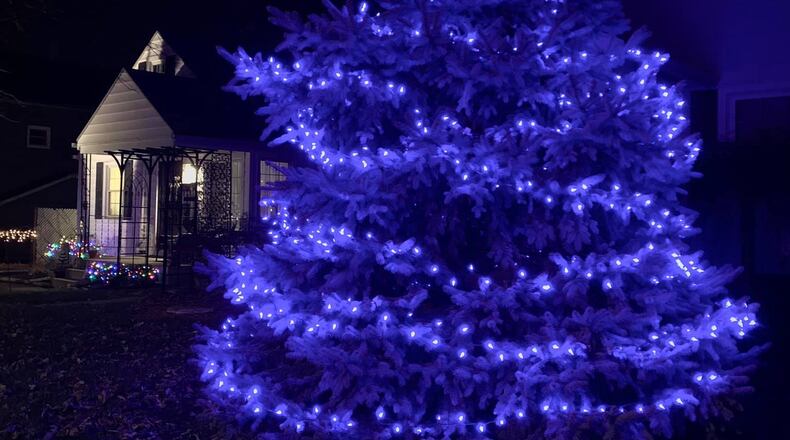 John J. Stanton's blue spruce is decked out for the holidays.